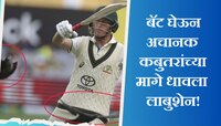 बॅटिंग, बॉलिंग सोडून क्रिकेटच्या मैदानात कबुतर जा, जा...; VIDEO पाहून तुम्हीही हसाल