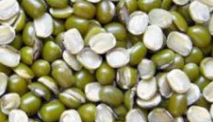 Benefits of Mung Beans How to remove weakness in the body Health Tips Marathi News