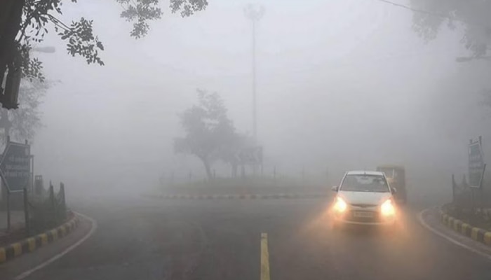 Maharashtra Weather : नव्या वर्षात वातावरणात पुन्हा बदल, थंडीचा काढता पाय.. ढगाळ वातावरण 