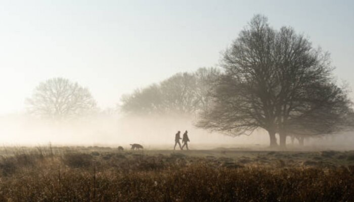 थंडीत कधी आणि किती वेळ करावा Morning Walk, गारठ्यात बाहेर पडणं योग्य आहे का?