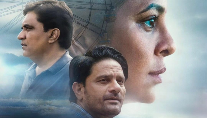 डंकी, अ‍ॅनिमल, पठानसारखे हिट सिनेमे नाही; तर 'हा' सिनेमा ठरला 