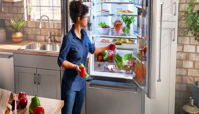 Temperature of Refrigerator : ऋतूनुसार फ्रिजचे योग्य तापमान किती असावे? याचा कधी विचार केला आहे का?