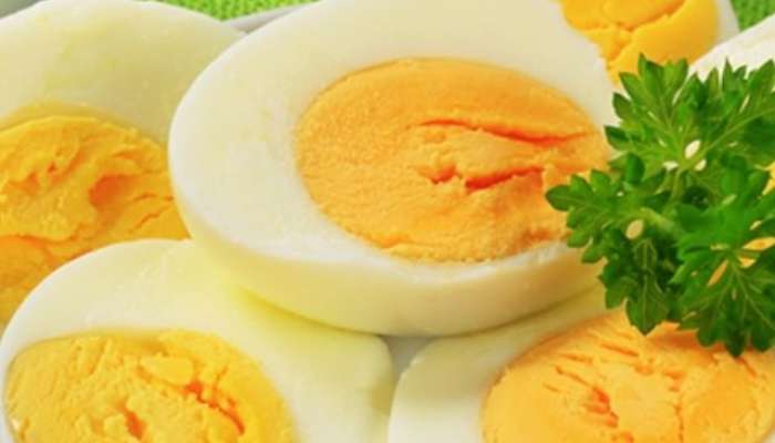 healthy lifestyle, healthy india, health concious, foods, How safe is to eat eggs, side effects of eating eggs, Side Effects Of Eating Eggs Daily, 