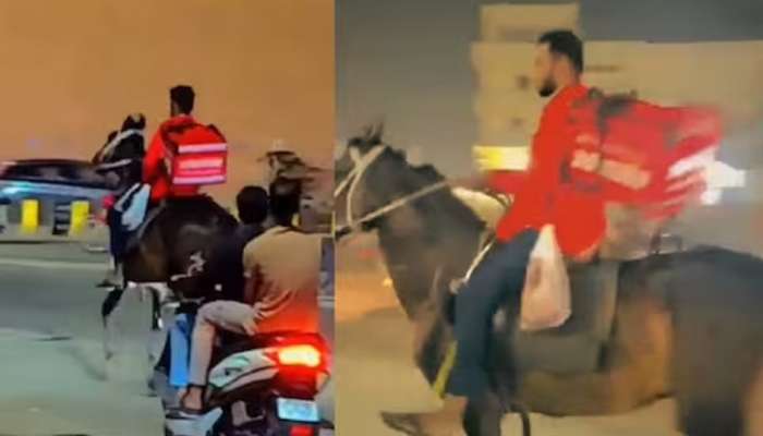 VIDEO : झोमॅटोचा डिलेव्हरीबॉय ऑर्डरसहीत चक्क घोड्यावरुन पोहचला ग्राहकाच्या घरी; कारण फारच रंजक