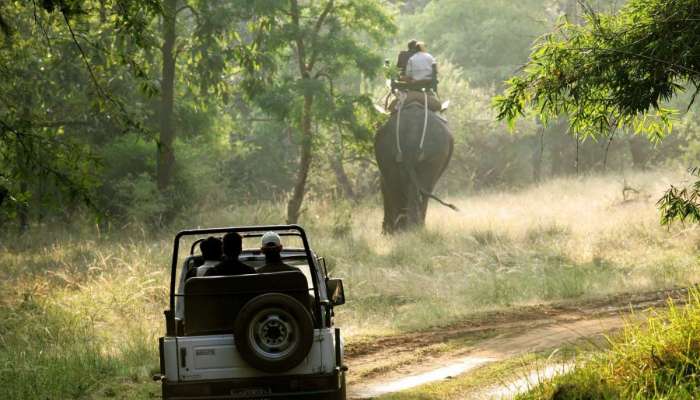 निसर्गाच्या सानिध्यात व गोंगाटापासून दूर; जोडप्यांना खुणावताहेत ही Honeyemoon Destinations