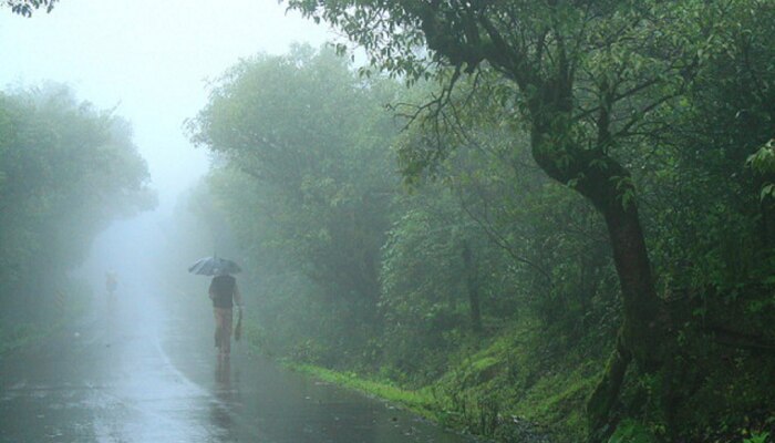 Weather Update : राज्याच्या &#039;या&#039; भागात तुफान पावसाची शक्यता; उत्तरेकडे थंडीचा लपंडाव सुरु 