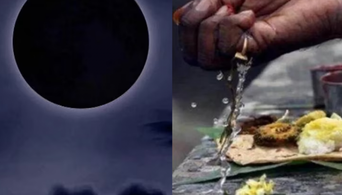 पितृदोषापासून मुक्ती हवी? पौष अमावस्येला 'या' 4 गोष्टी करायला विसरू नका!