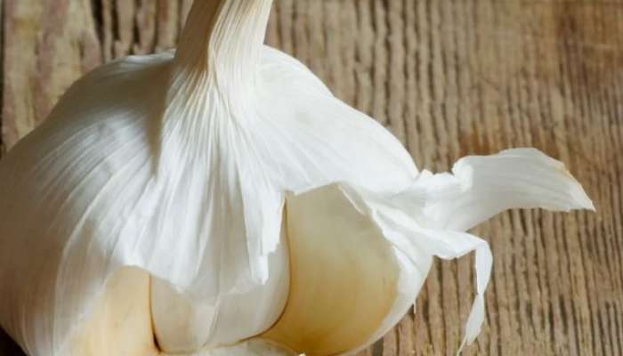 benefits and uses of garlic peels in cooking and skin care