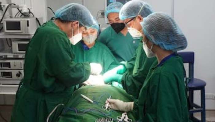 Surgeon Dress Code wearing green and blue clothes