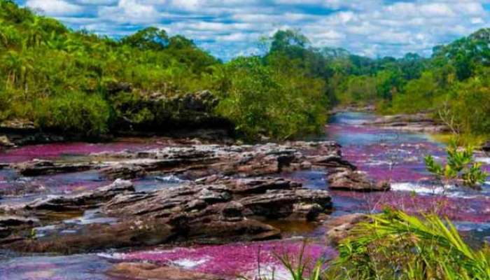 This River in Colombia Turns Into a Liquid Rainbow in marathi 