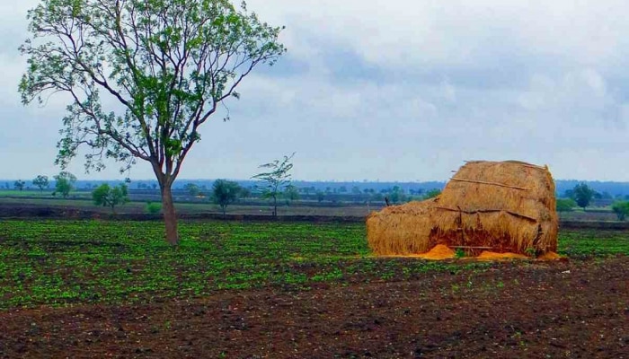 कायद्यानुसार एका व्यक्तीकडे किती जमीन असू शकते? महाराष्ट्रात काय नियम? 