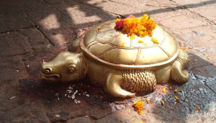 मंदिरात देवापुढे कासव का असते? भगवद्गीतेतील श्लोकात सांगितलंय महत्त्व