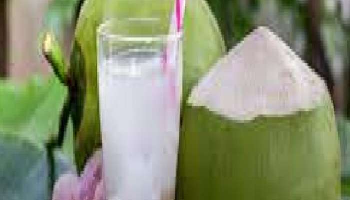 benefits of drinking coconut water, coconut water, Coconut Water Side Effect, Coconut water benefits, coconut water keeps this diseases away, coconut water, coconut water benefits, coconut water, coconut water benefits, coconut water use, how to consume coconut water, best way to consume coconut water, नारळ पाणी, नारळ पाणी पिण्याचे फायदे, marathi news, latest marathi news