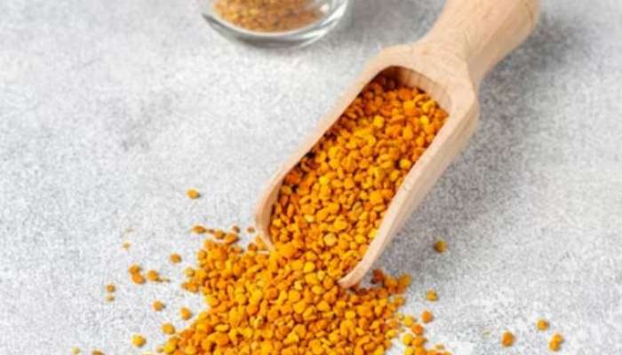 fenugreek seeds,Fenugreek side effects, side effects of eating Fenugreek,fenugreek seeds ke nuksan, fenugreek seeds khane ke kya nuksan hai, health side effects of fenugreek seeds, lifestyle, lifestyle news, lifestyle news in marathi, health, heath news, health news in marathi, trending topic, trending health news, trending lifestyle news, 