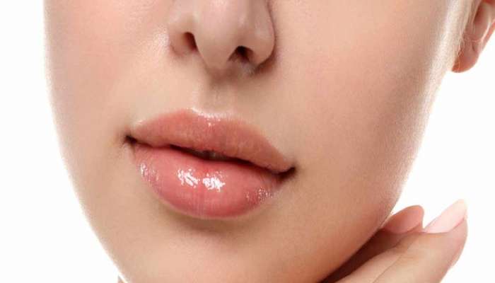 Lips Care Tips : ओठ कोरडे पडत आहेत? करा हे घरगुती उपाय 