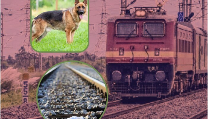 शाळा सुटल्यावर मागे लागला कुत्रा, रेल्वे ट्रॅकवर चढले भाऊ-बहिण, इतक्यात वेगाने आली ट्रेन; &#039;पुढे जे घडलं..&#039;