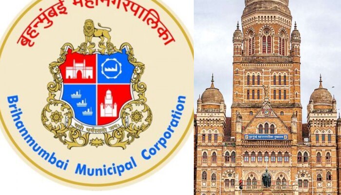 BMC Job:मुंबई पालिकेत विविध पदांवर नोकरीची संधी,  &#039;येथे&#039; पाठवा अर्ज 