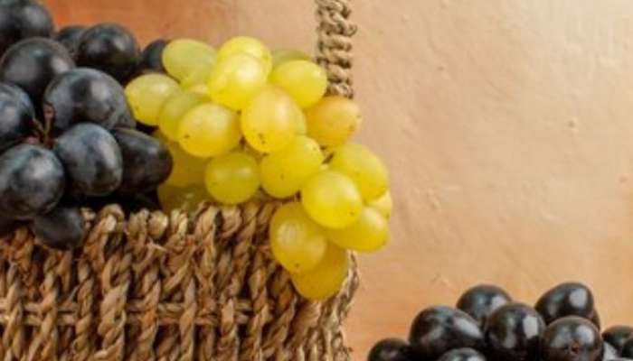 Black Grapes, grapes, Green Grapes, Black Grapes Price, Green Grapes Price, kale Angoor kyon hota hai mahanga, lifestyle, lifestyle news, lifestyle news in marathi, entertainemnt, entertainment news, entertainment news in marathi, 