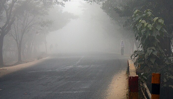 Weather Updates : कोकणापासून मुंबईपर्यंत महाराष्ट्र गारठला, नीचांकी तापमान पाहून हुडहूडीच भरेल!