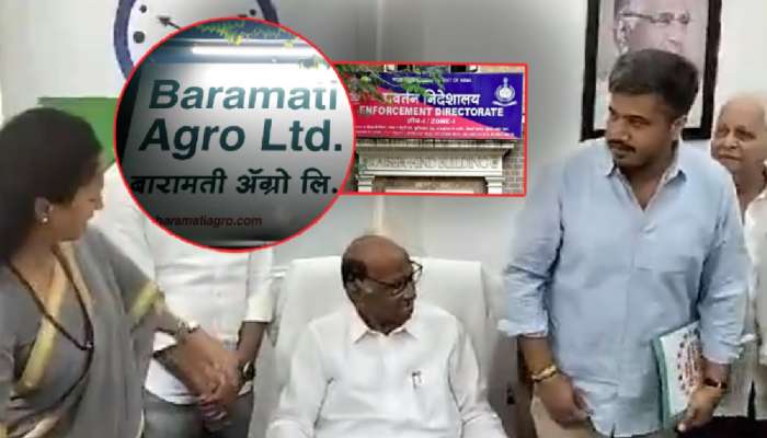 ED चौकशी करत असलेला Baramati Agro घोटाळा नेमका काय? रोहित पवारांशी काय कनेक्शन?