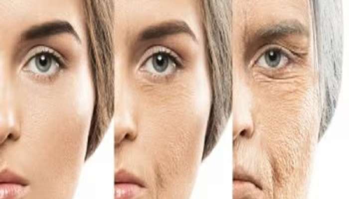 Skin Care Tips: एका रात्रीत गायब होतील चेहऱ्यावरील सुरकुत्या, करा &#039;हे&#039; घरगुती उपाय 