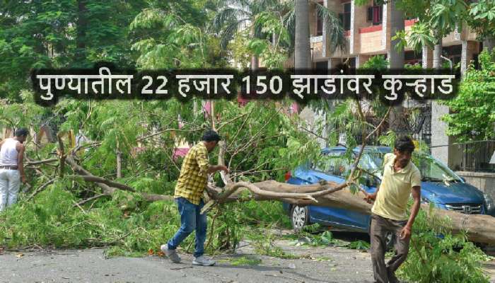 गुजरात मॉडेलच्या नादात पुण्यातील 22 हजार 150 झाडांवर पडणार कुऱ्हाड! धक्कादायक माहिती उघड