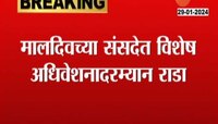 आधी बाचाबाची, मग लाथा बुक्क्या! मालदिवच्या संसदेत तुफान राडा