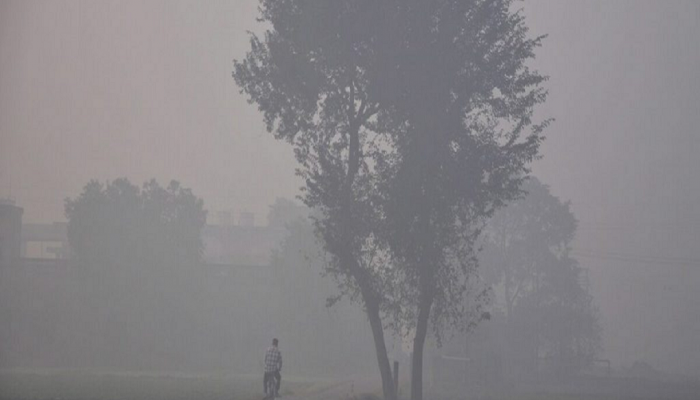 काश्मीरच्या थंडीमुळं महाराष्ट्रातच हुडहूडी; कुठं वाढला गारठा? पाहा... 
