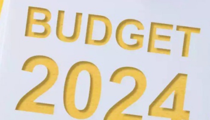 will the government make a big announcement on these things in budget 2024