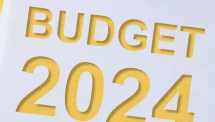 will the government make a big announcement on these things in budget 2024