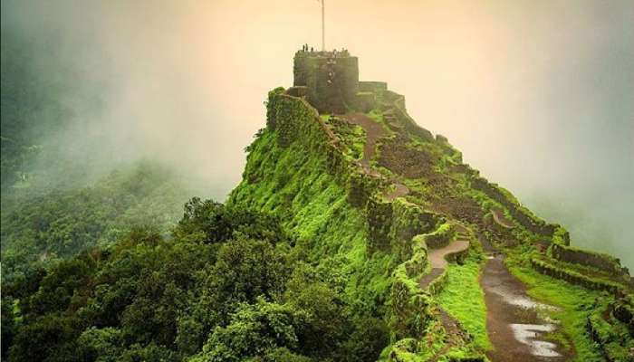 जय जय महाराष्ट्र माझा! राज्यातील 'हे' 11 गड किल्ले ऐतिहासिक वारसा, युनेस्कोकडे प्रस्ताव