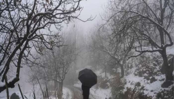 Weather Updates : उत्तरेकडील हिमवृष्टीमुळं महाराष्ट्रात गारठा; 'हा' भाग वगळता उर्वरित राज्यात थंडीचा कडाका 