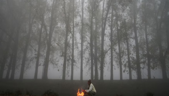 महाराष्ट्रातील तापमानात चढ- उतार; दिल्लीत पाऊस, काश्मीरमध्ये बर्फवृष्टी... हवामानाचं काय चाललंय काय? 