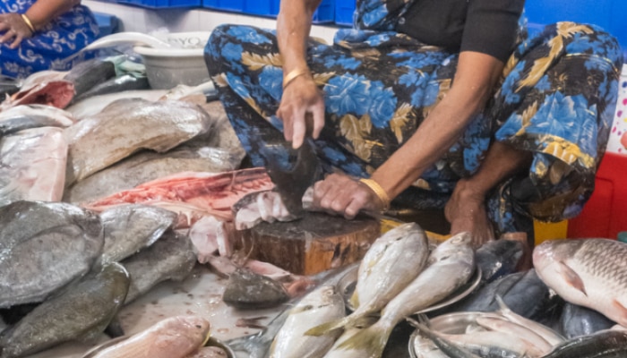 Fish Markets in Mumbai you should visit