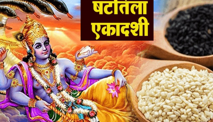 Shattila Ekadashi Upay: मोक्ष प्राप्तीसाठी 'या' शुभ मुहूर्तावर साजरी करा षटतिला एकादशी! तिथी, पूजा विधी जाणून घ्या