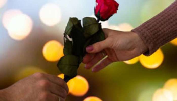 Rose Day 2024: गुलाबाच्या रंगाचे 'हे' महत्त्व तुम्हाला माहित आहे का? नाहीतर रोज डेला कराल चूक 