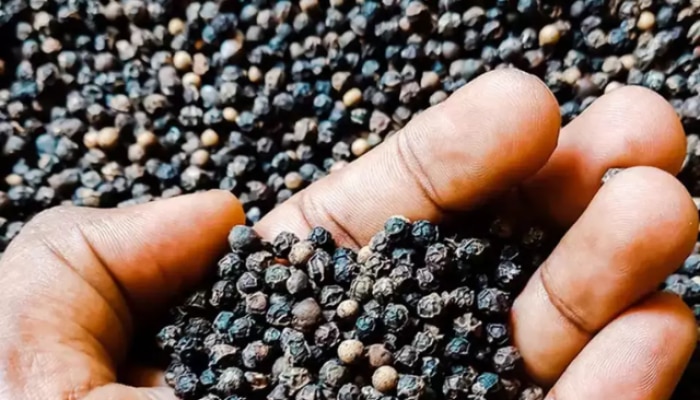 benefits of eating black pepper in marathi