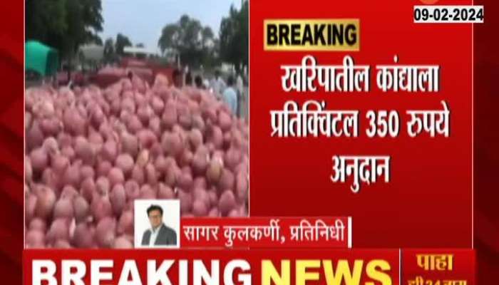 Onion Price Good News For Onion Producing Farmers