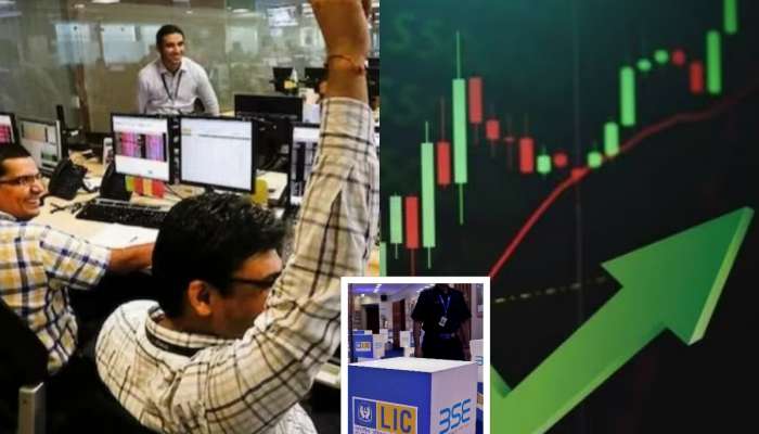 LIC चे शेअर्स खरेदी करणाऱ्यांची चांदी, 5 दिवसांत 86 कोटींची कमाई, HDFC बँकेसह 6 कंपन्यांना तोटा