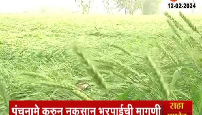Unseasonal Rain nagpur Farmers Reaction on Crop loss