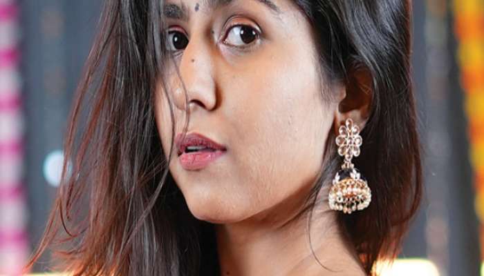 Chandni Bhabhada bought Akshay Kumar flat went viral by mimicking Alia Bhatt