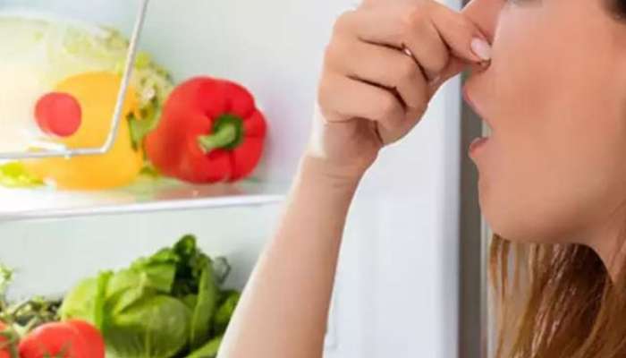 Best tips For Useing Refrigerator
