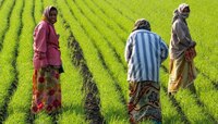 दरमहा 55 रुपये भरा अन् महिन्याला 3000 मिळवा, शेतकऱ्यांसाठी केंद्राची महत्त्वाची योजन