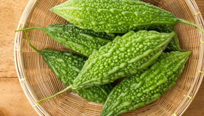 Bitter Gourd Storage Tips: फ्रीजमध्ये ठेवूनही कारली पिवळी पडतात? या टिप्स वापरा, दीर्घकाळ राहतील ताजी