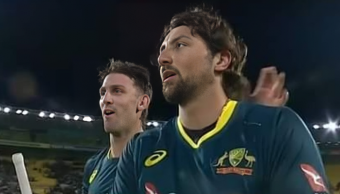 NZ vs AUS T20I : टीम डेव्हिडचा 'विराट' अवतार, ऑस्ट्रेलियाला 9 बॉलमध्ये 32 धावांची गरज अन्...; पाहा थरारक Video