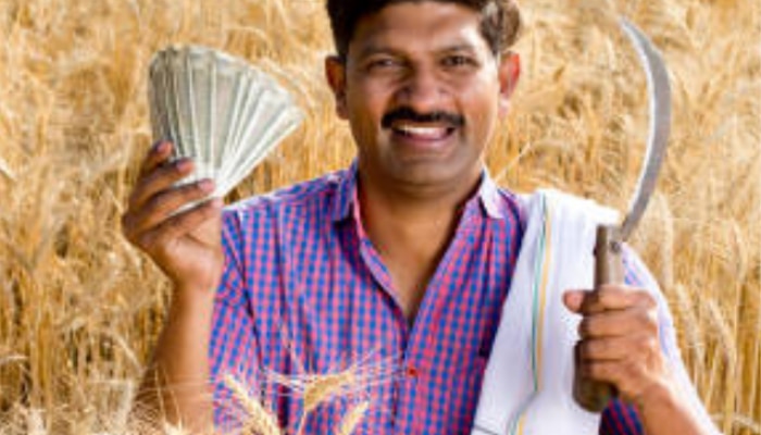  Maharashtra Farmer can take this crops in his Farm during Summer for more benefits