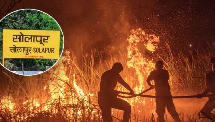 सोलापूर: रात्री अडीचचा थरार, 14 वर्षीय अल्पवयीन विवाहितेची आत्महत्या, कुटुंबाने परस्पर...