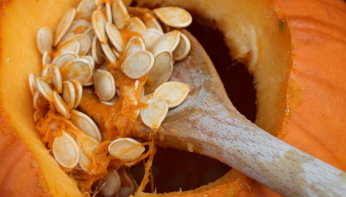 Benifits of Pumkin Seeds : रोज भोपळ्याच्या बियांचं सेवन करा; मधुमेह, कर्करोगासारख्या आजारांपासून दूर राहा
