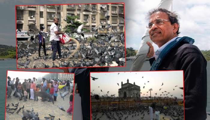 कबुतरांना खायला घालणाऱ्यांवर संतापले हर्षा भोगले! फोटो पोस्ट करत म्हणाले, 'ही कबुतरं...'