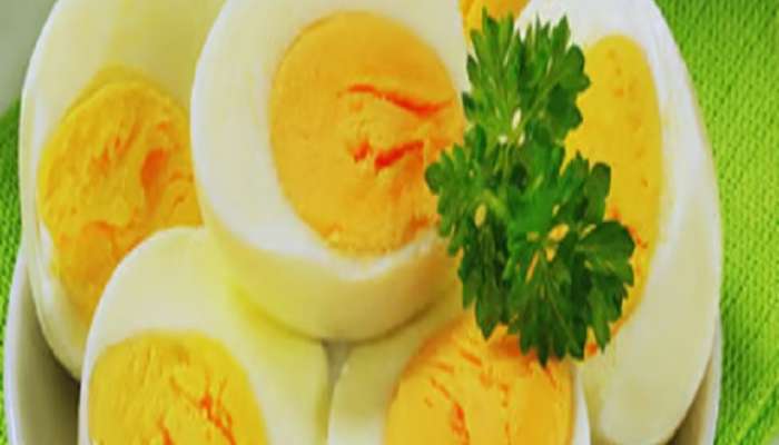 अंड्यामधील पिवळा भाग खावा की खाऊ नये?